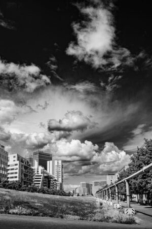 08 - Berlin Tiergarten Juni 2024