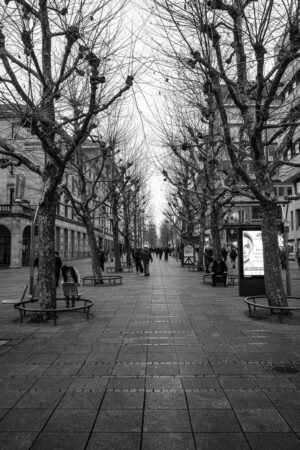 26 -Stuttgart Januar 2025